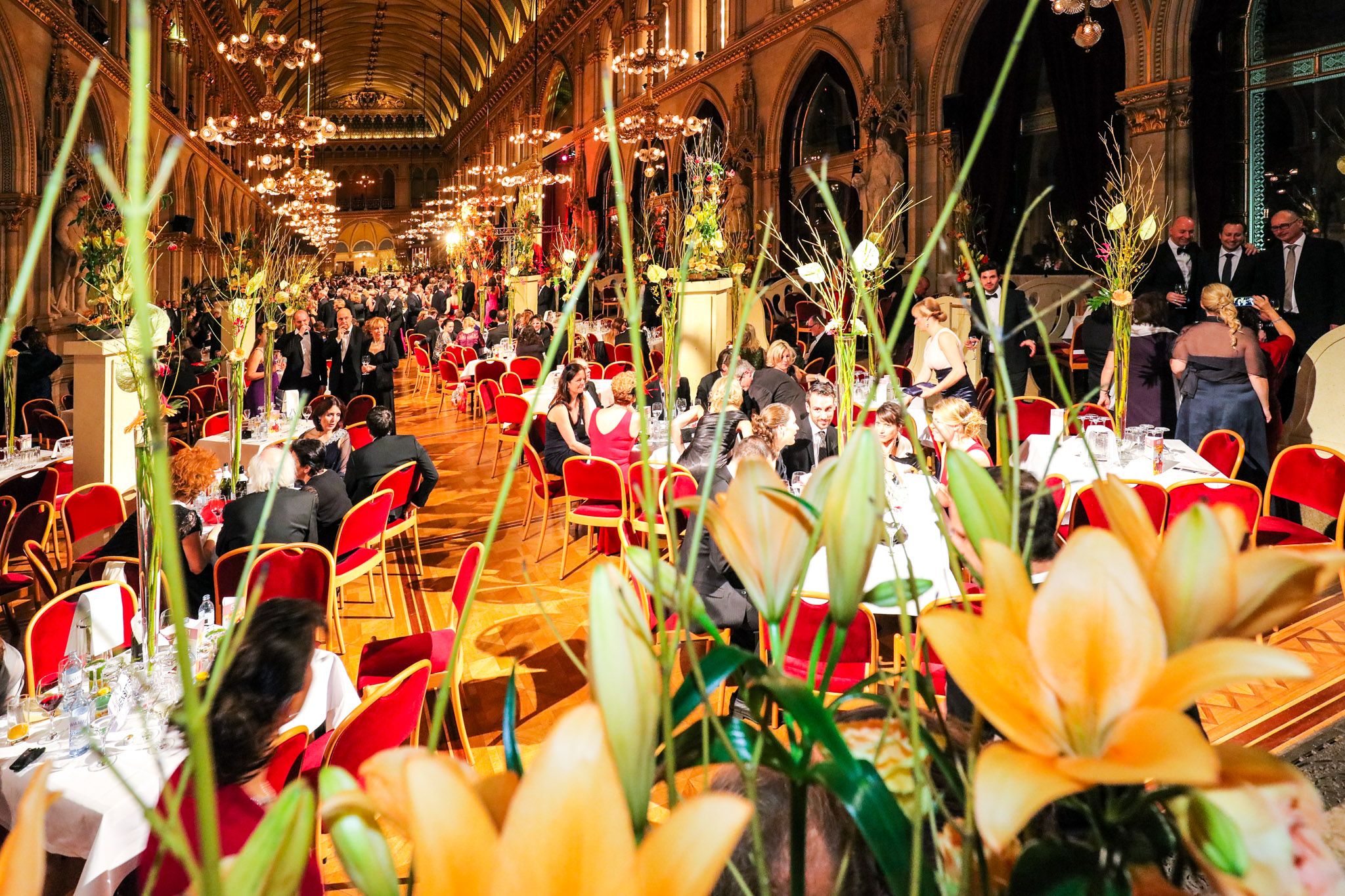 Sima Blumenball Im Wiener Rathaus Am Presse Service