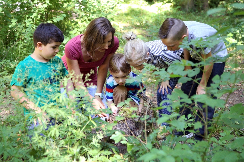 Im Rahmen des Projekts „Waldtage“ können die Jüngsten den Lebensraum Wald kennenlernen und den achtsamen Umgang mit der Natur erfahren.