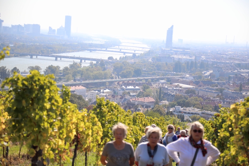 Teilnehmerinnen und Teilnehmer des 11. Wiener Weinwandertags genießen die wundervolle Kulisse.