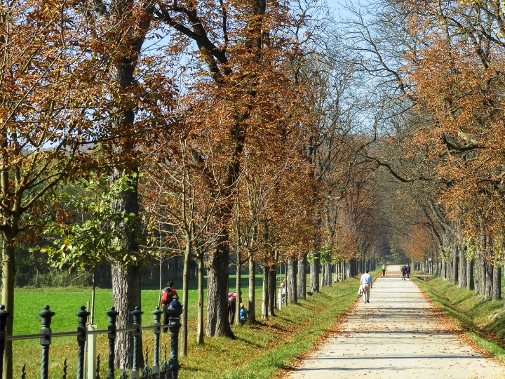 Der Hermespark bleibt auch im Herbst und Winter für BesucherInnen geöffnet und lädt zu herbstlichen Spaziergängen ein.