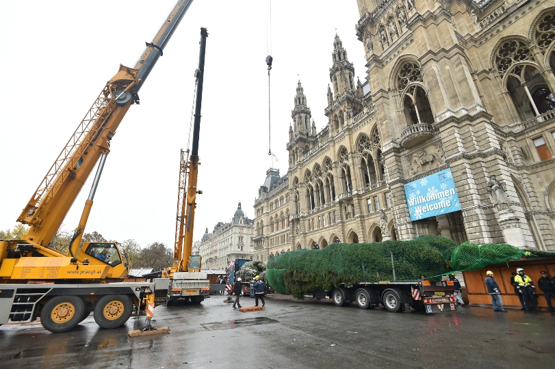 Eintreffen des 31 Meter langen und vier Meter breiten Sondertransportes auf dem Wiener Rathausplatz  