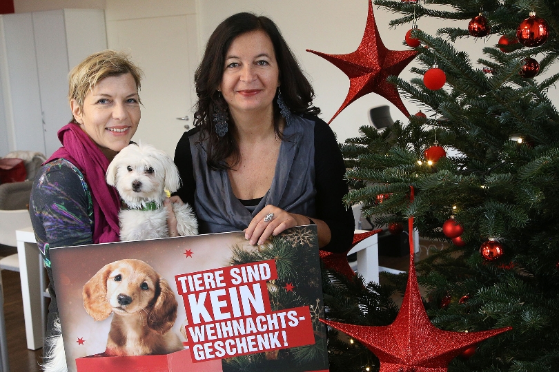 Fototermin "Keine Tiere unter Weihnachtsbaum" mit StRIn. Ulli Sima und Maggie Entenfellner.