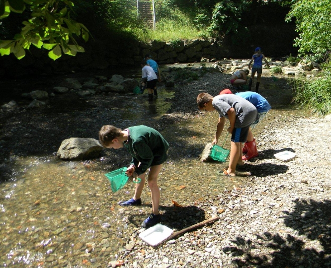 Umweltspürnasen: Kostenlose Workshops für Kids auf der Donauinsel und an Wienerwaldbächen