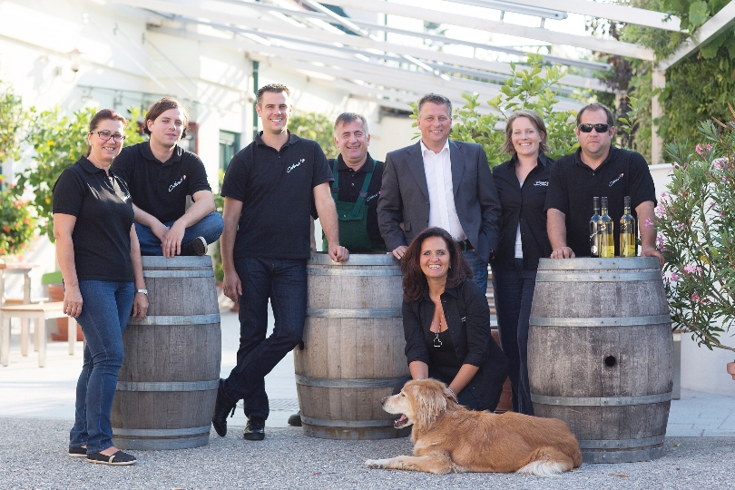 "Weingut Cobenzl: Degustationsbox & Online Weinprobe!"