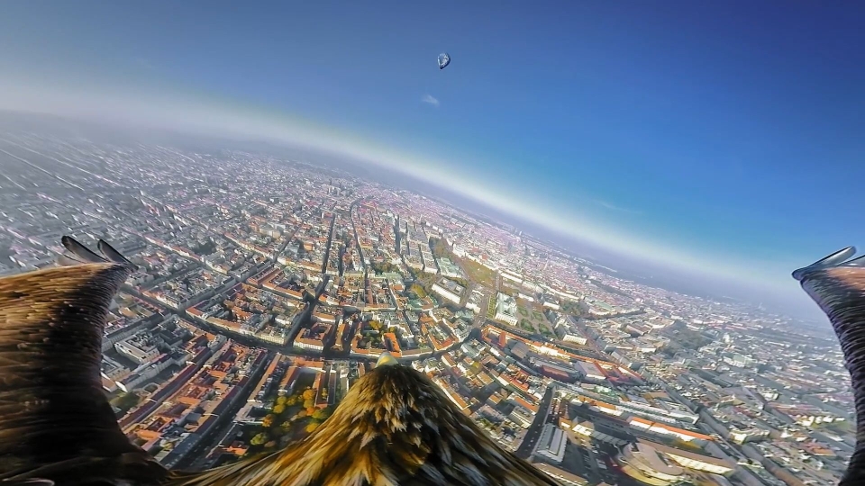 Mit dem YouTube-Video „Vienna from an eagle's eye view” zeigt der WienTourismus seine Stadt aus der Vogelperspektive.