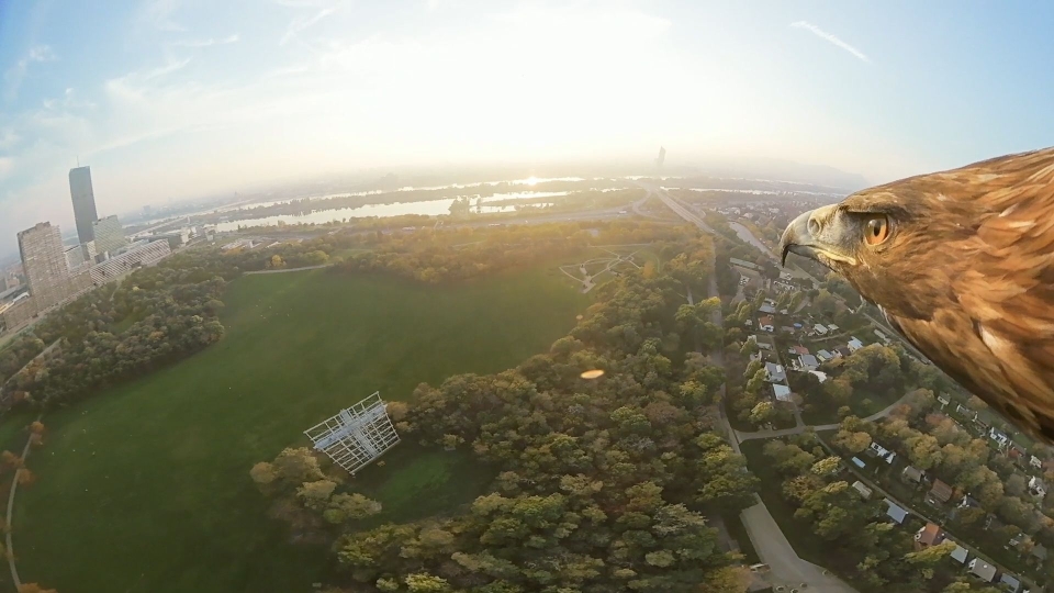 Mit dem YouTube-Video „Vienna from an eagle's eye view” zeigt der WienTourismus seine Stadt aus der Vogelperspektive.