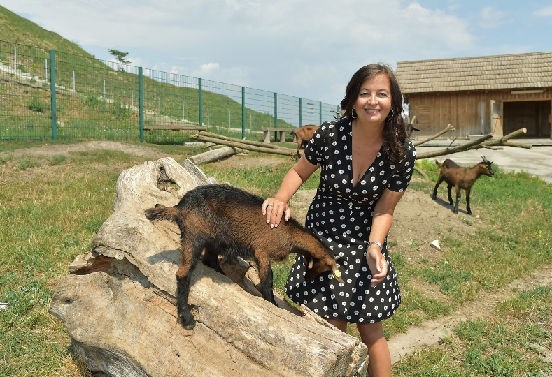 Umwelt- und Tierschutzstadträtin Ulli Sima mit Pinzgauer Ziegen auf der Deponie Rautenweg