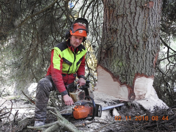 Forstfacharbeiter Anton Krassnitzer neben dem Baum