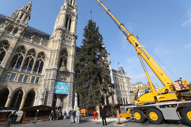Der Weihnachtsbaum wird mit Hilfe von zwei Kränen am Rathausplatz aufgestellt.