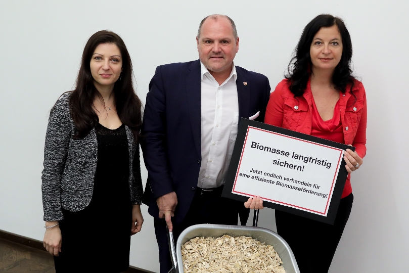 SPÖ-Energiesprecherin Muna Duzdar, Alois Schroll, der Bürgermeister von Ybbs an der Donau und Stadträtin Ulli Sima.