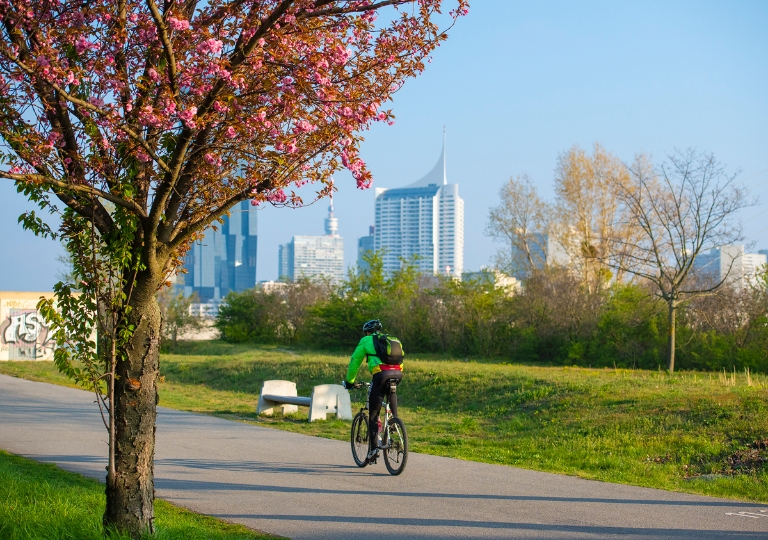 Radfahrer auf der Donauinsel im Frühling