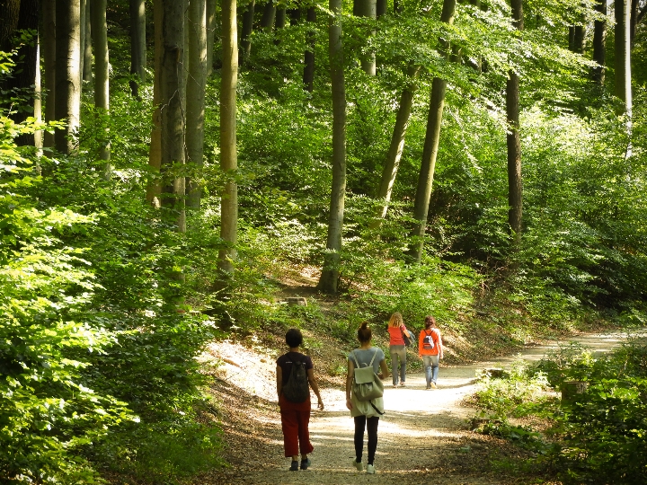 Spaziergänger am Stadtwanderweg durch den Wienerwald.