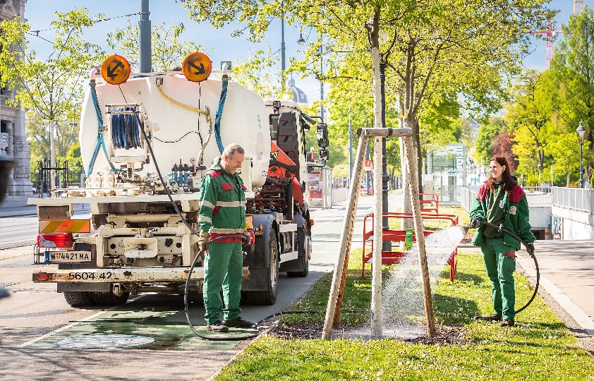 In der ganzen Stadt gibt es rund 1.000 automatische Bewässerungsanlagen. Alle neu gepflanzten Bäume werden drei Jahre lang, mindestens einmal wöchentlich, händisch gegossen. Bis zu 150 Personen sind täglich mit rund 50 Gießfahrzeugen im Einsatz und bewässern Wiens Stadtbäume mit täglich rund 400.000 Liter Wasser.