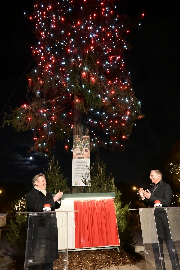Bürgermeister Michael Ludwig und Landeshauptmann Thomas Stelzer vor dem Weihnachtsbaum am Rathausplatz