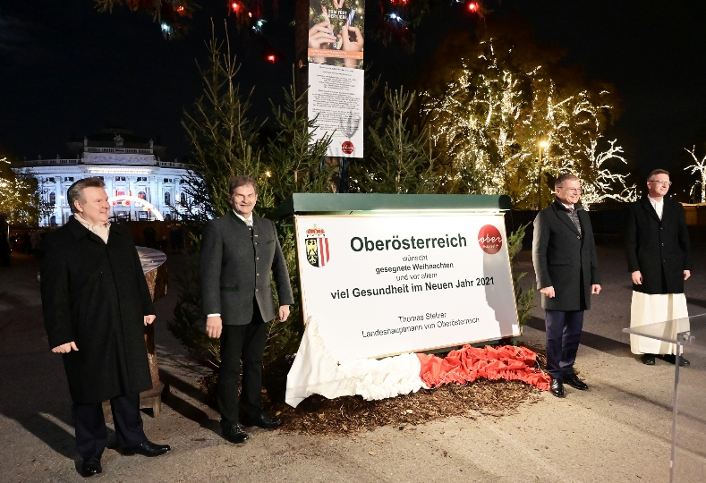 Bürgermeister Michael Ludwig und Landeshauptmann Thomas Stelzer bei der Illuminierung des Weihnachtsbaumes.