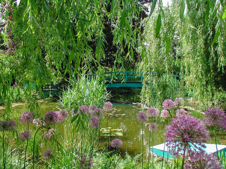 Der Claude-Monet-Garten ist ein Highlight des Schulgarten Kagran.
