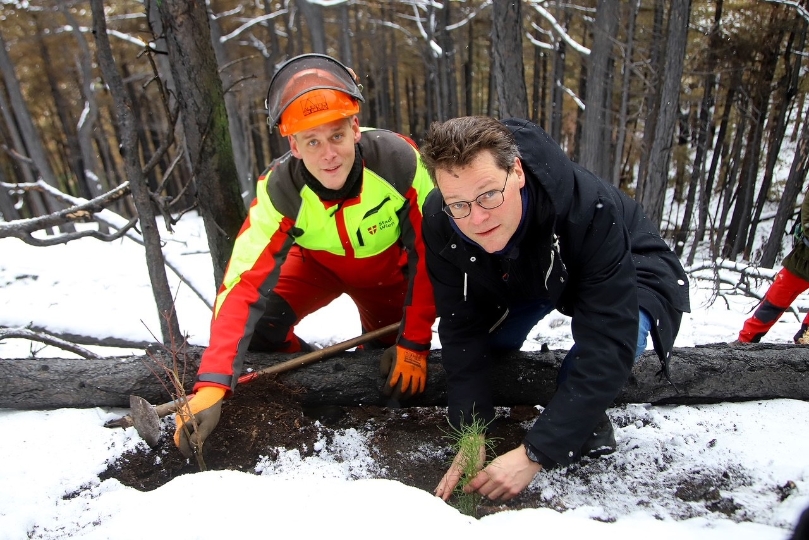 Klimastadtrat Jürgen Czernohorszky half beim Aufforsten im vom Brand betroffenen Waldstück mit.