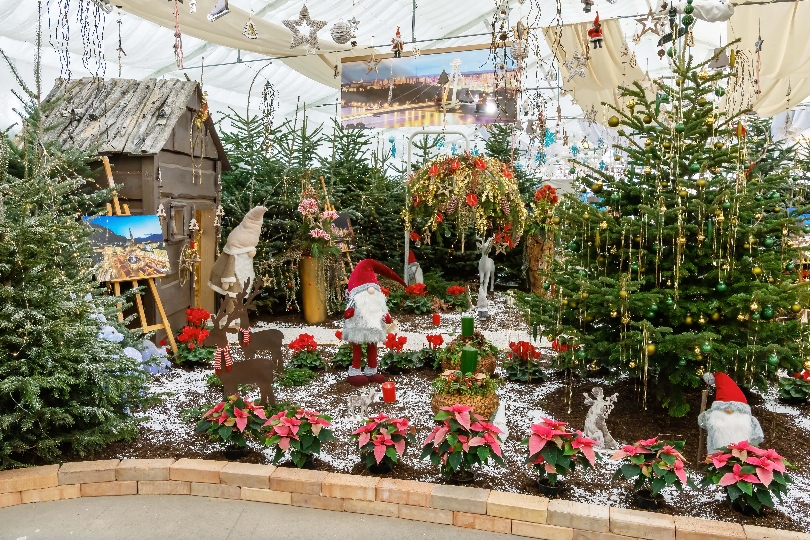 Die Weihnachtsausstellung der Wiener Stadtgärten kann mit neuen Öffnungszeiten ab Donnerstag, den 16. Dezember bis Donnerstag, den 23. Dezember täglich jeweils von 10 bis 20 Uhr wieder besucht werden.