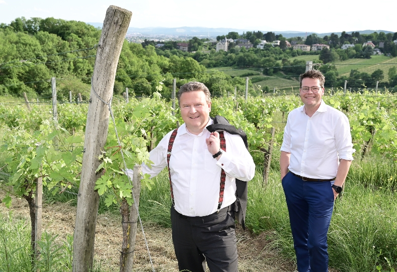 Bürgermeister Michael Ludwig und Klimastadtrat Jürgen Czernohorszky in einer der Weingärten.