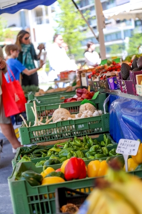 „Markt auf Probe“ in der Seestadt Aspern begeht 1. Jahrestag