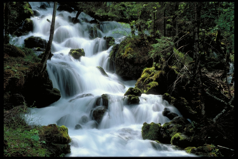 Die Kläfferquelle bei Wildalpen ist eine der wichtigsten Quellen für die Wiener Wasserversorgung