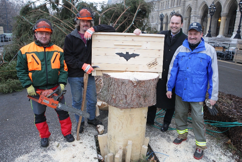 Forstdirektor Andreas Januskovecz und seine Mitarbeiter mit dem frisch gefällten Christbaum und einem Fledermausnistkasten