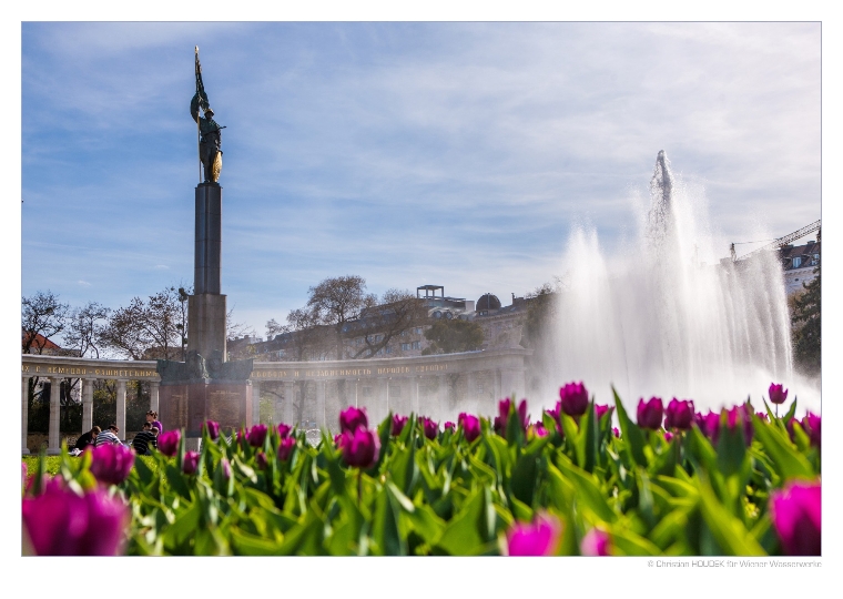 Wien startet in den Frühling - auch vor dem Hochstrahlbrunnen erwachen die Tulpen aus dem Winterschlaf