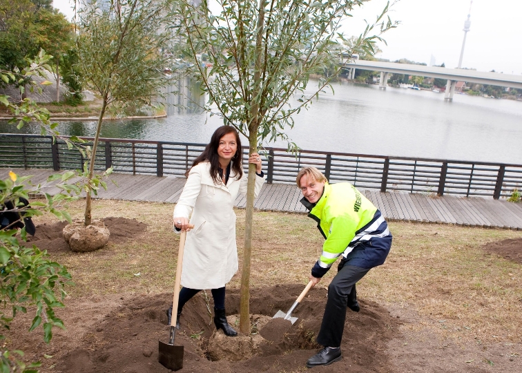Umweltstadträtin Ulli Sima und Gerald Loew, Chef von Wiener Gewässer, pflanzen gemeinsam einen Baum an der Alten Donau