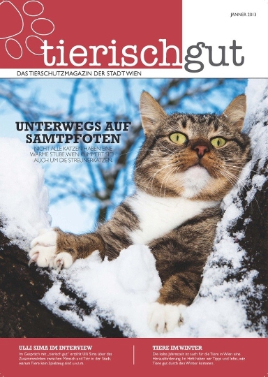 "tierisch gut" - Die aktuelle Ausgabe des Tierschutzmagazins der Stadt Wien ist da