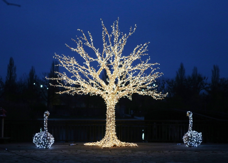 Die Blumengärten Hirschstetten verbreiten "Christmas Dreams"