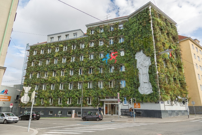 Natürliche Klimaanlagen: Stadt Wien als Vorreiter bei Fassadenbegrünung