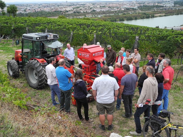 Projekt "Artenvielfalt und Bodenschutz im Weinbau"