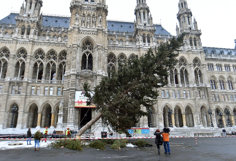 "Baum fällt" am Wiener Rathausplatz 