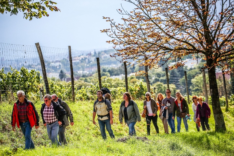 Wandern und Weingenuss - der traditionelle Wiener Weinwandertag bietet am ersten Oktoberwochenende eine perfekte Gelegenheit für einen Spaziergang in den malerischen Wiener Weinbergen.