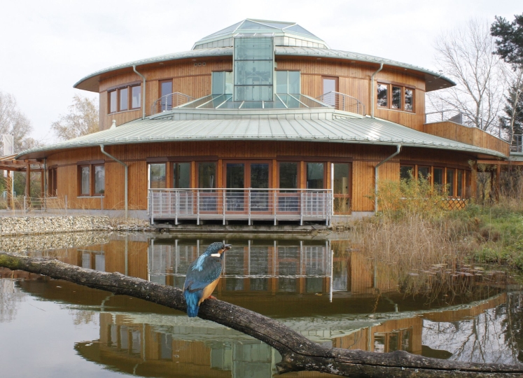 Mit etwas Glück ist der seltene Eisvogel am Teich des Nationalparkhauses zu beobachten