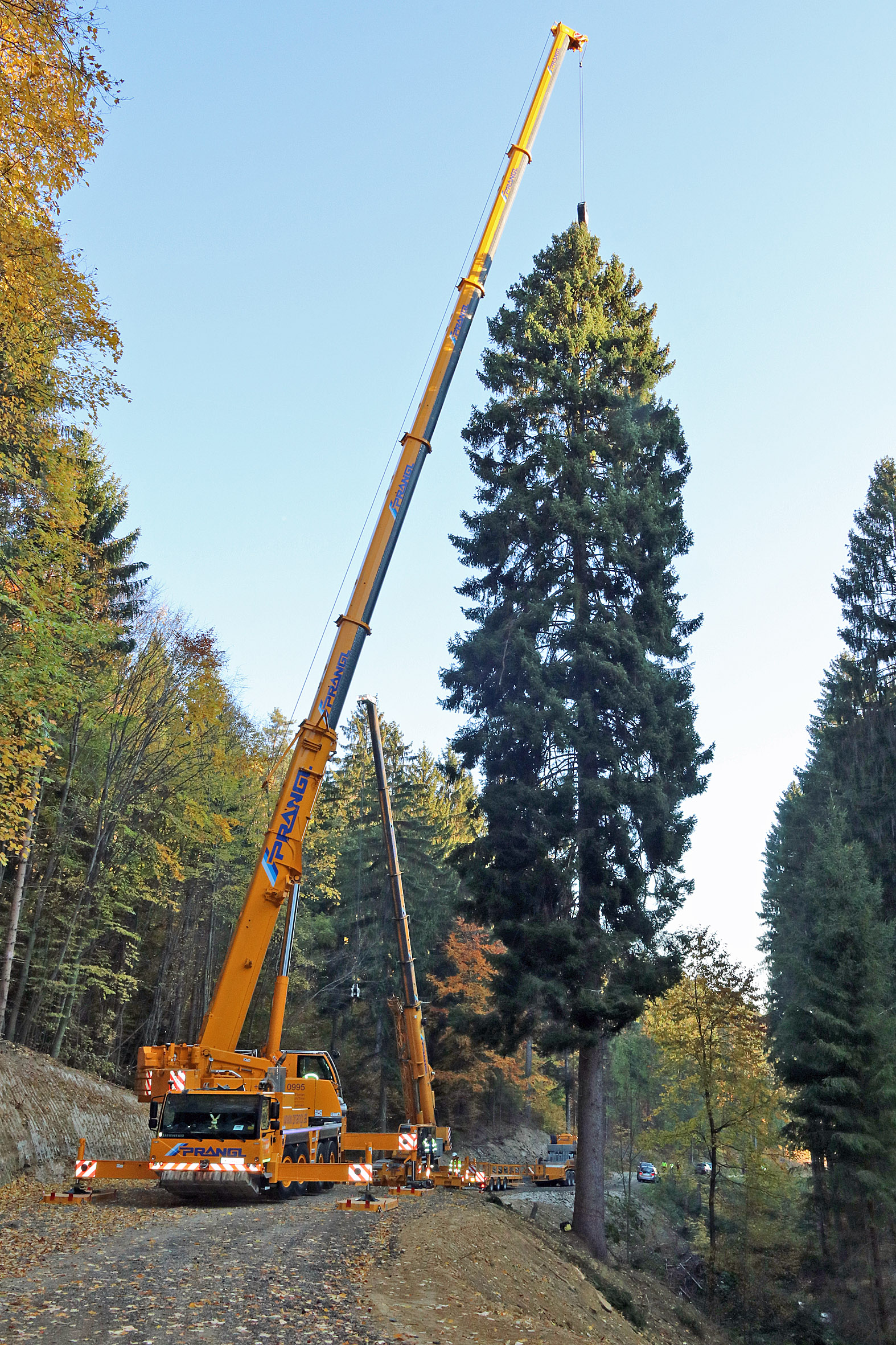 Wiener Weihnachtsbaum 2021 ist ein Burgenländer PresseService