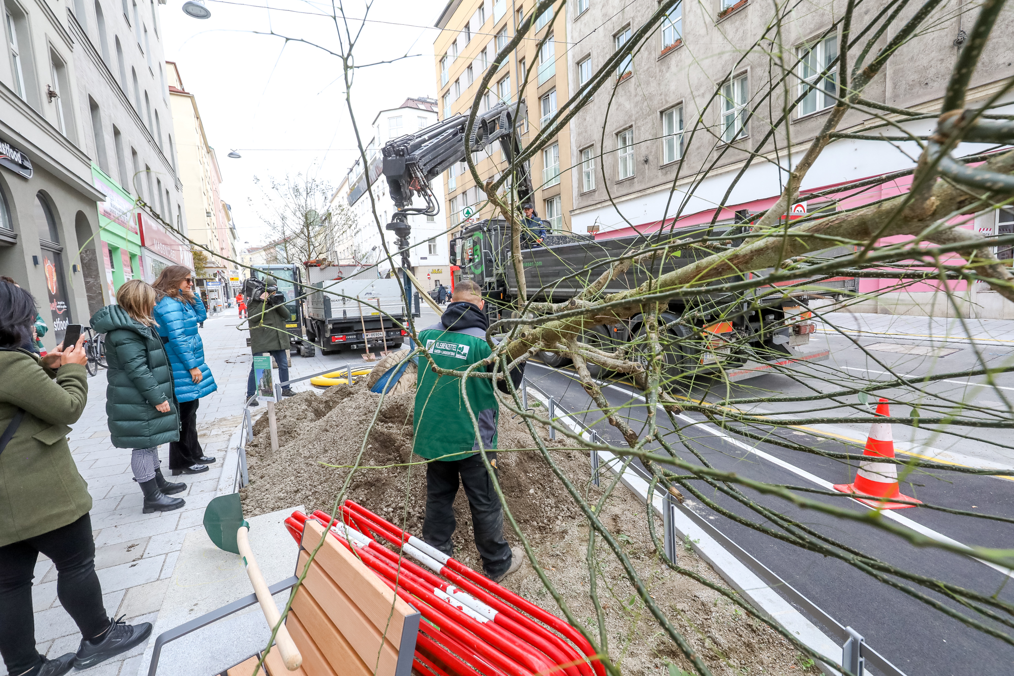 . Sima Jankovic Piantagione finale degli alberi nella Reinprechtsdorfer Strasse  32 alberi XL per la fase finale della riprogettazione .