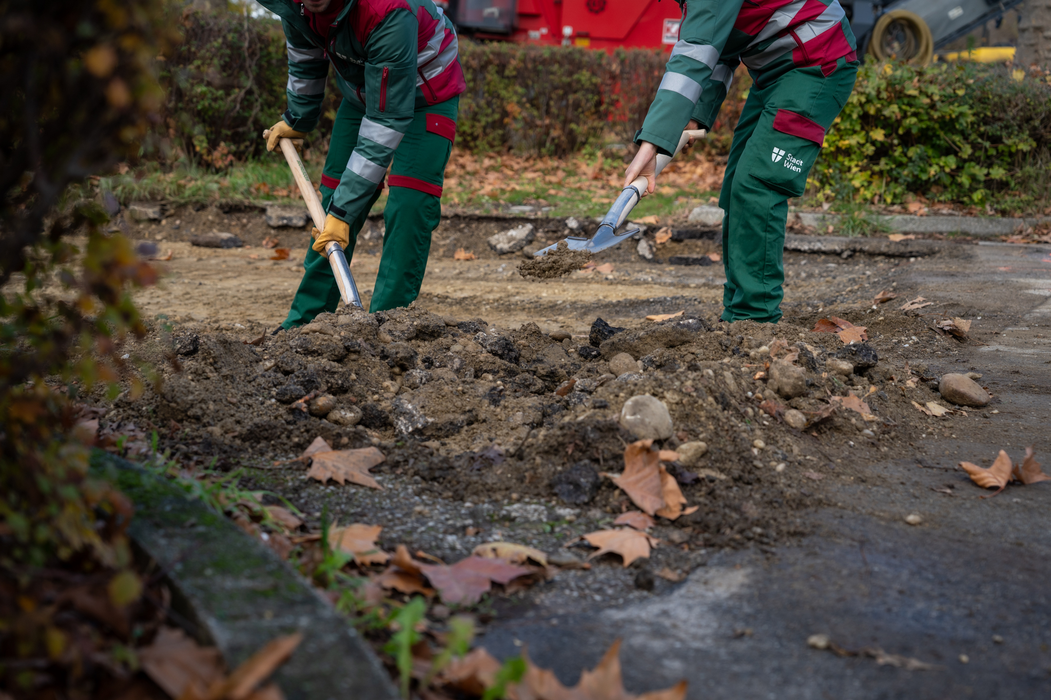 . Czernohorszky Franz apre l'offensiva per ancora più verde nel parco termale di Oberlaa .