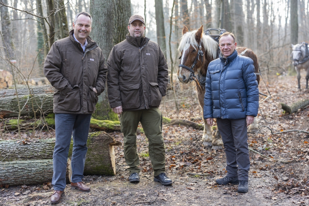 Pferde Sorgen F R Klimaneutralen Holztransport Im Maurer Wald Presse