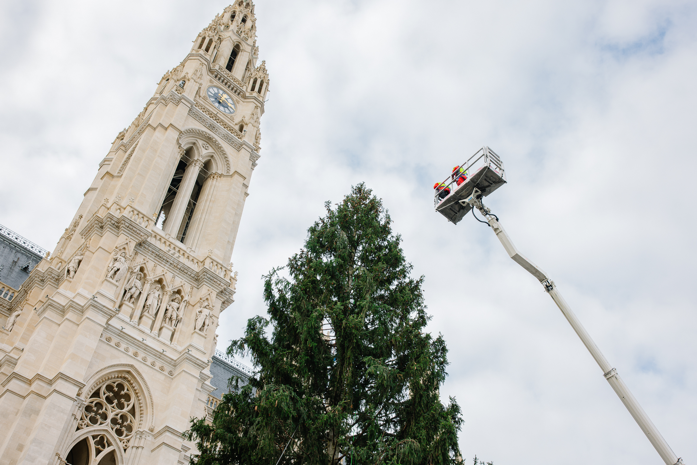 . L'albero di Natale sul team di Rathausplatz Baumpflege della città viennese Gaerten fa abete per il Christkindlmarkt Astrein .