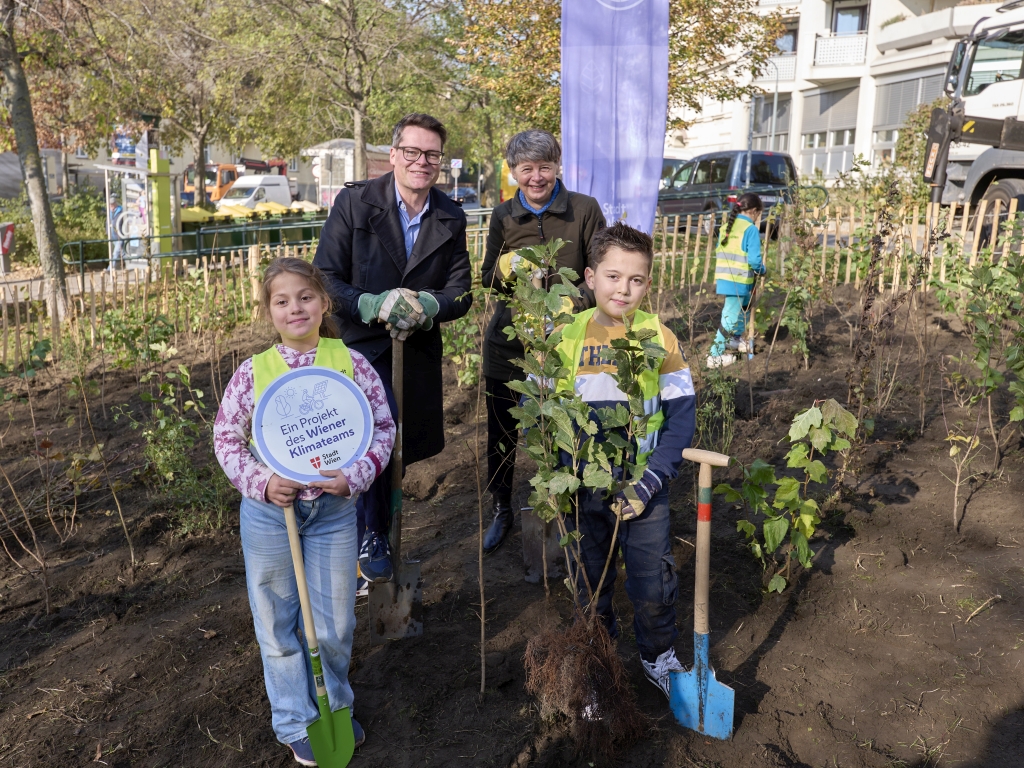 . Un bosco viennese per Waehring Vienna pianta un nuovo minibosco a Tuerkenschanzplatz .