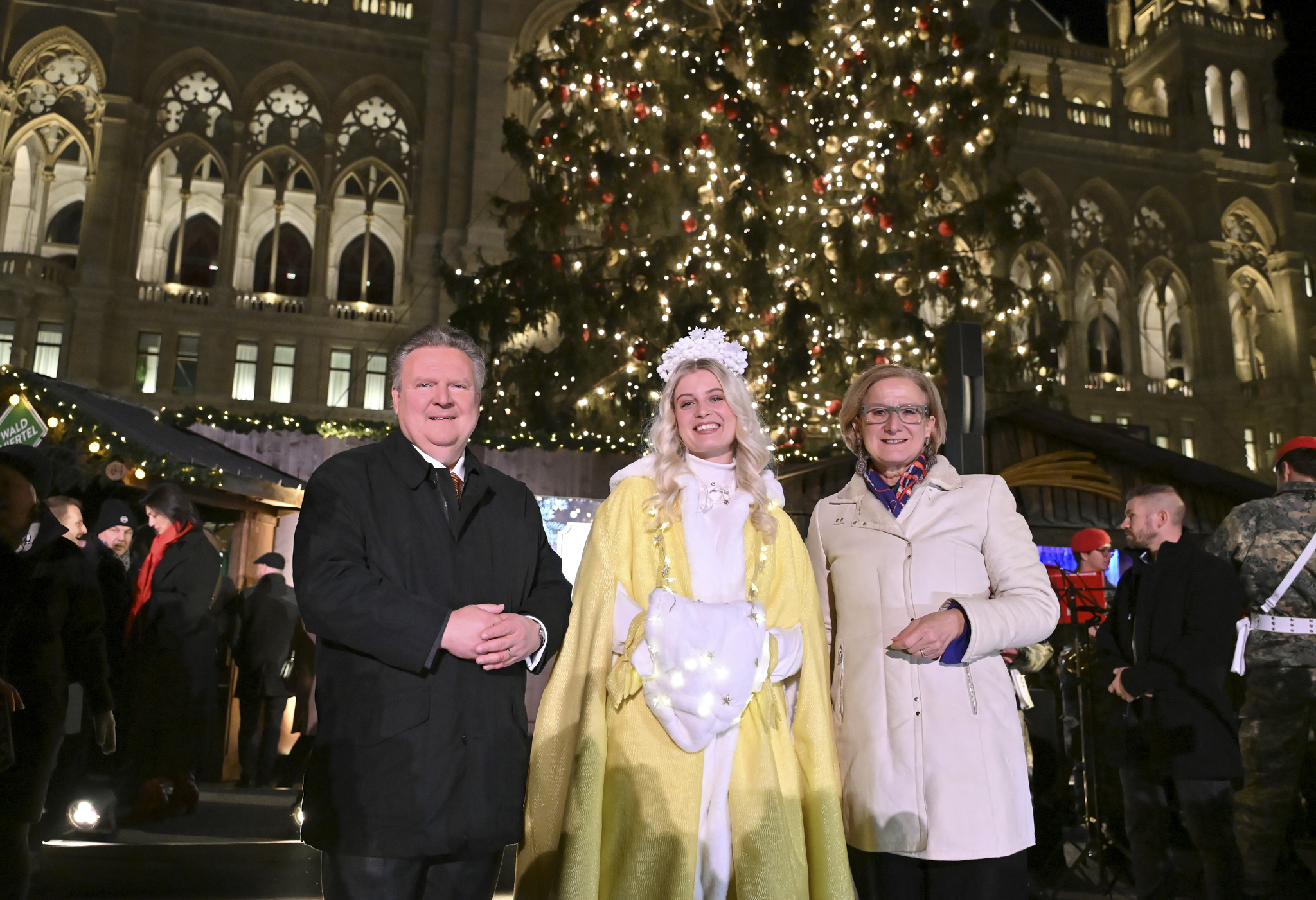 . L'albero di Natale Waldviertel si illumina sulla piazza del municipio .