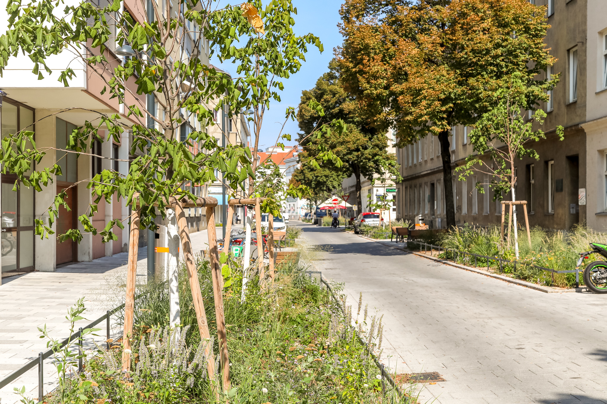 . SIMA PIPALLEIXNER 3 anni di ParkpickerlA Winwin Situazione per Vienna .