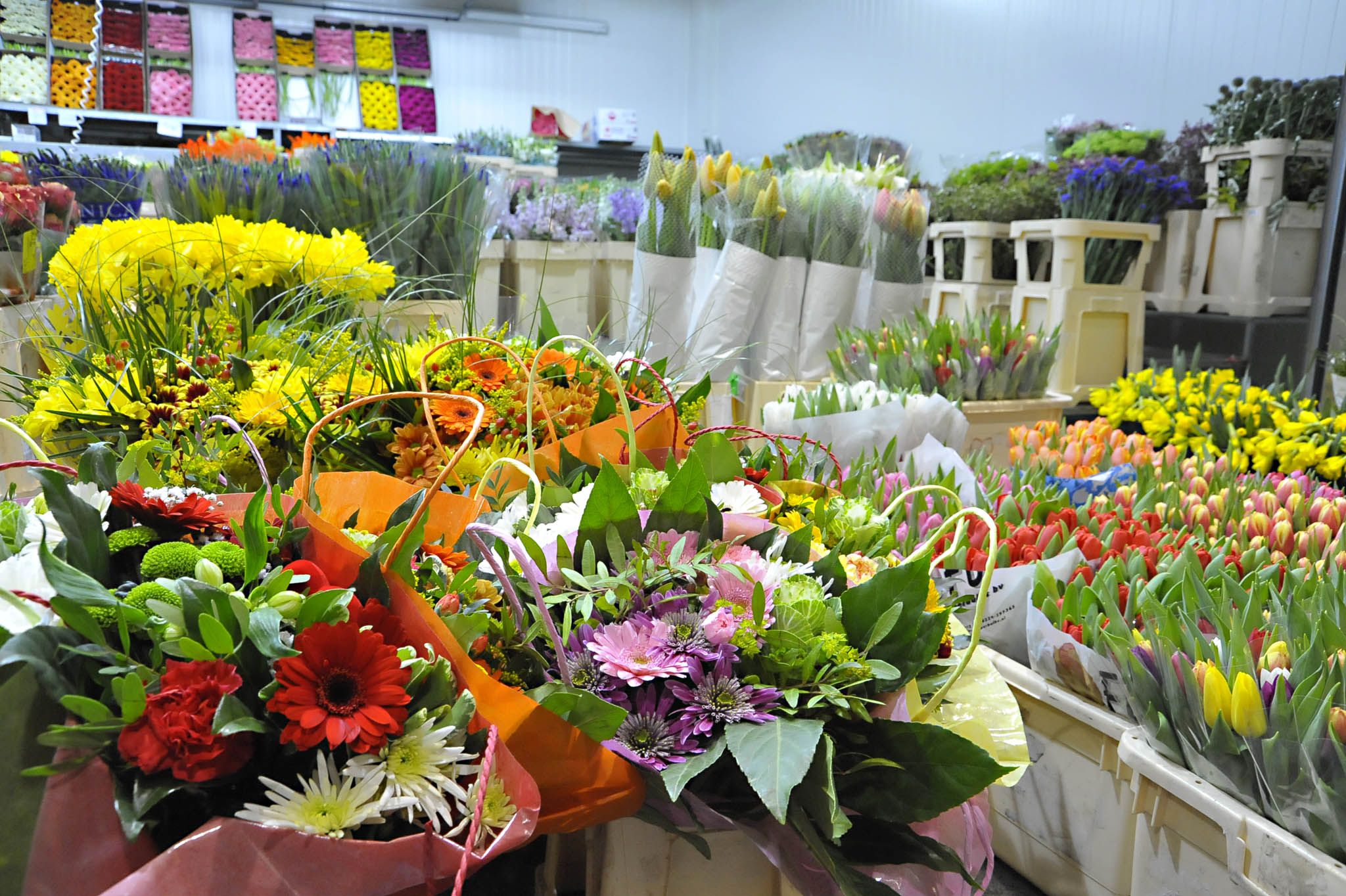 . Nel giorno di San Valentino Frauenberger ha visitato il mercato all'ingrosso dei fiori di Vienna .