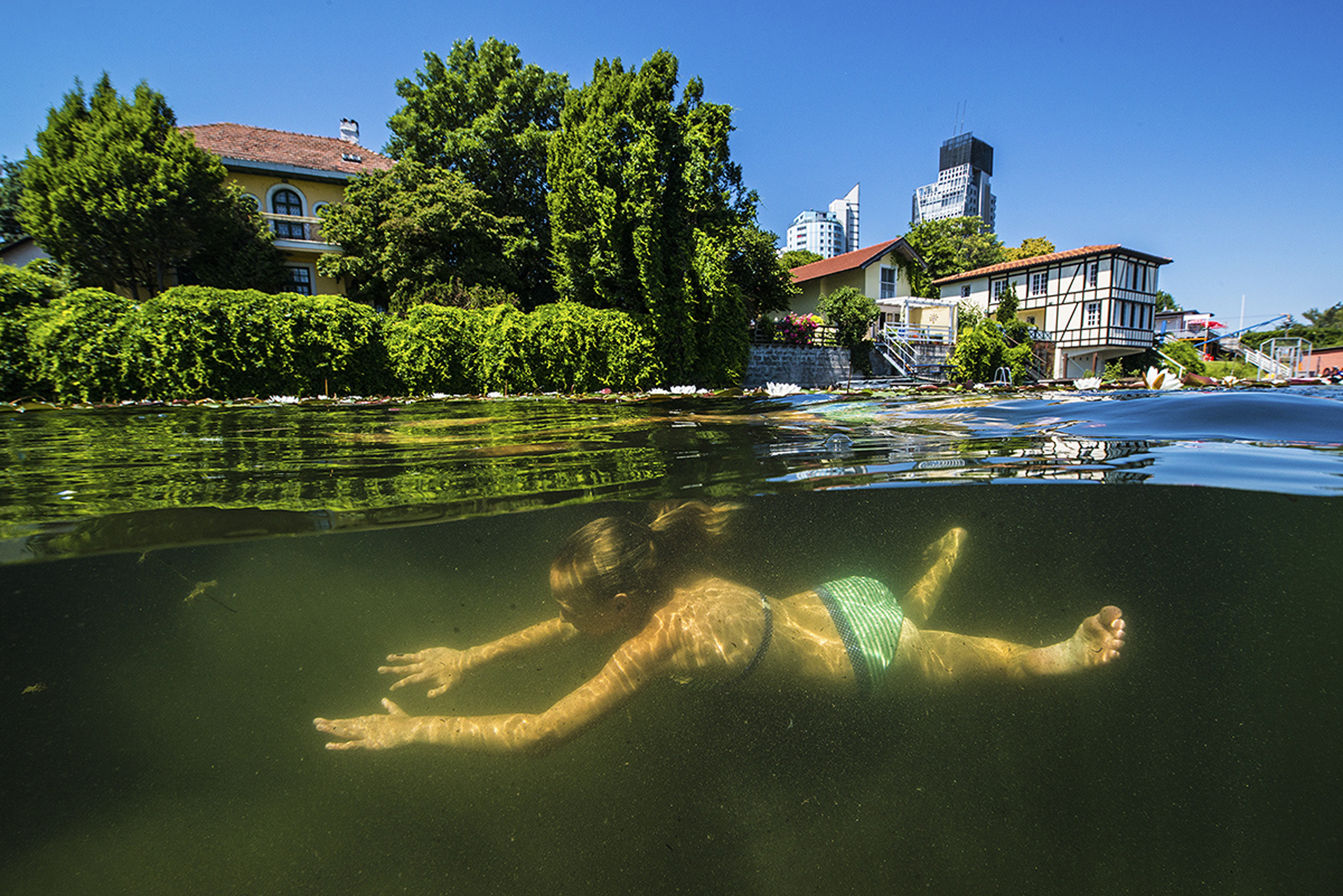 . Giornata della biodiversità viennese sul Vecchio Danubio 5 e 6 giugno Scoprite la flora e la fauna e fate snorkeling insieme .