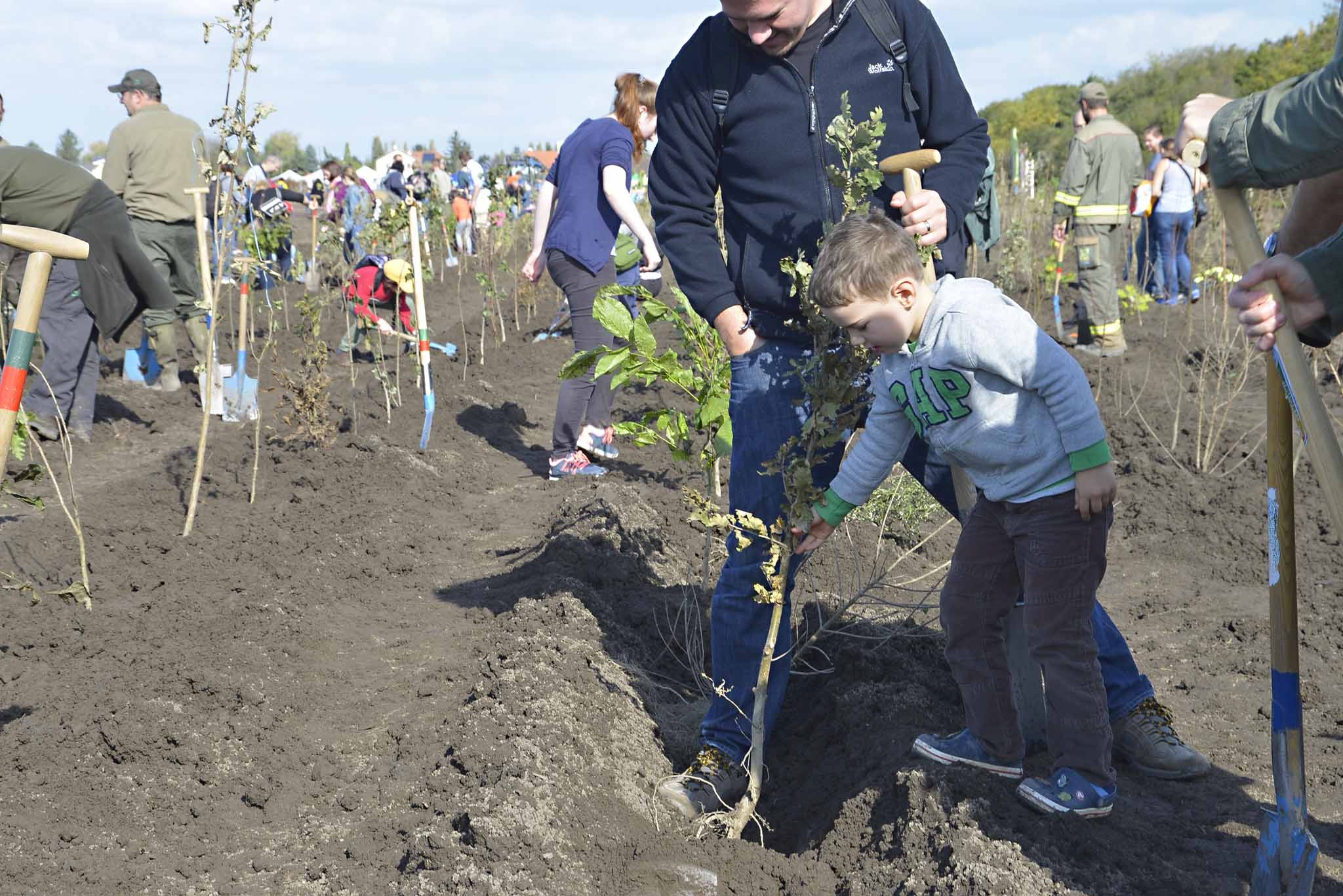 . Sima Oxonitsch 6700 bambini hanno piantato il bosco di Norbert Scheed .