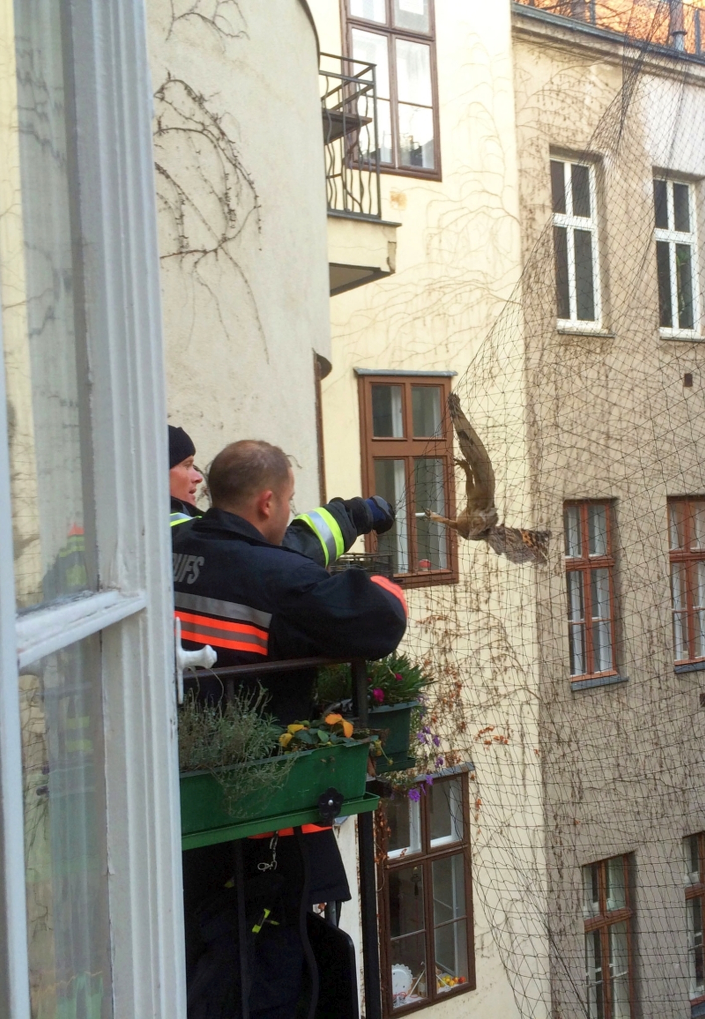 . I vigili del fuoco professionisti di Vienna salvano Kauz .