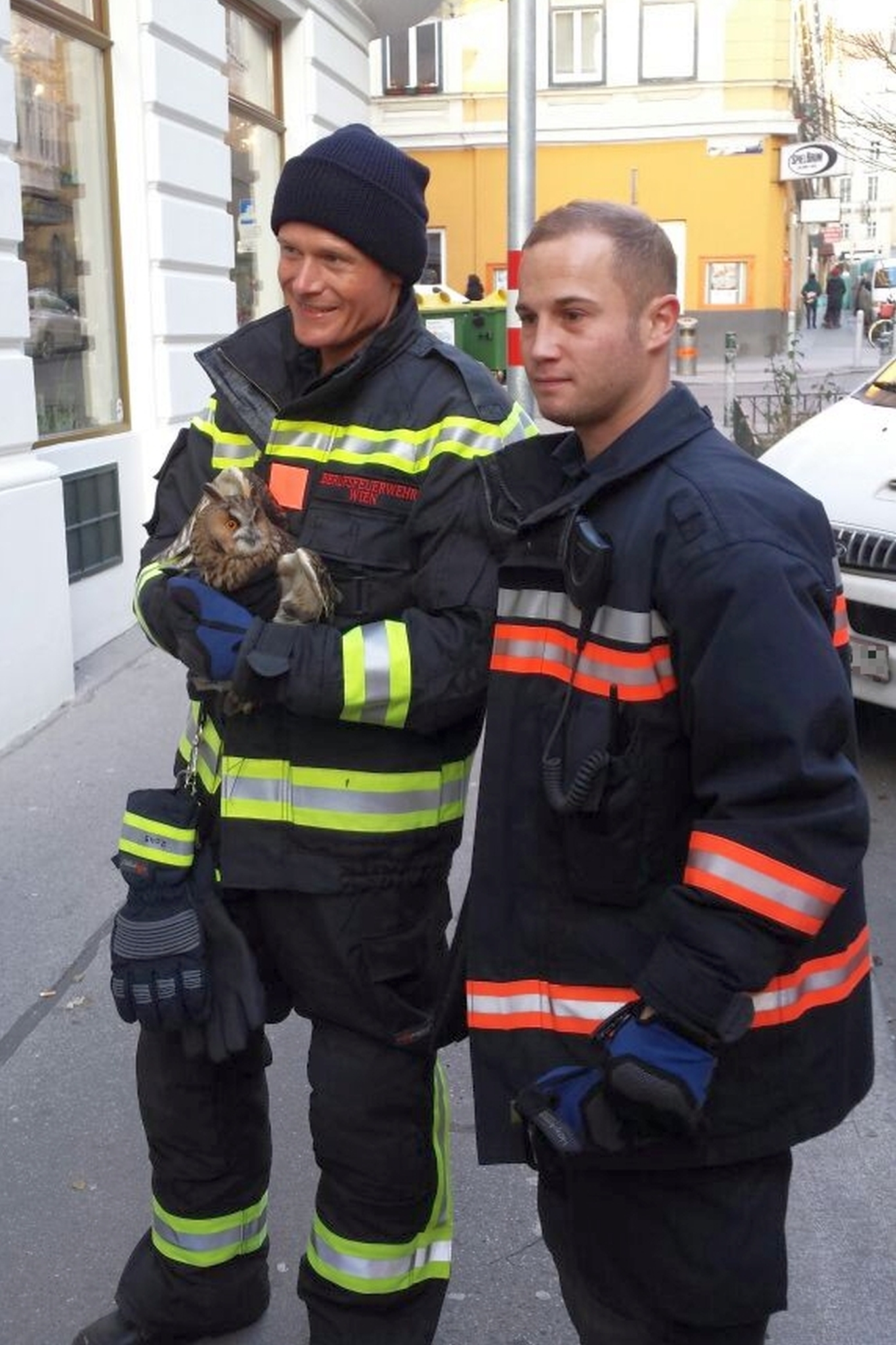 . I vigili del fuoco professionisti di Vienna salvano Kauz .